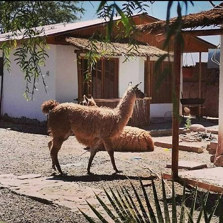 Cabanas Voyage Atacama Сан-Педро-де-Атакама Экстерьер фото