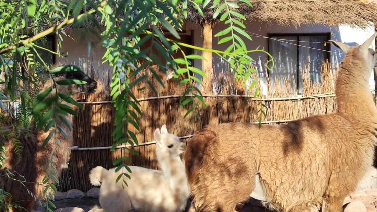 Cabanas Voyage Atacama Сан-Педро-де-Атакама Экстерьер фото