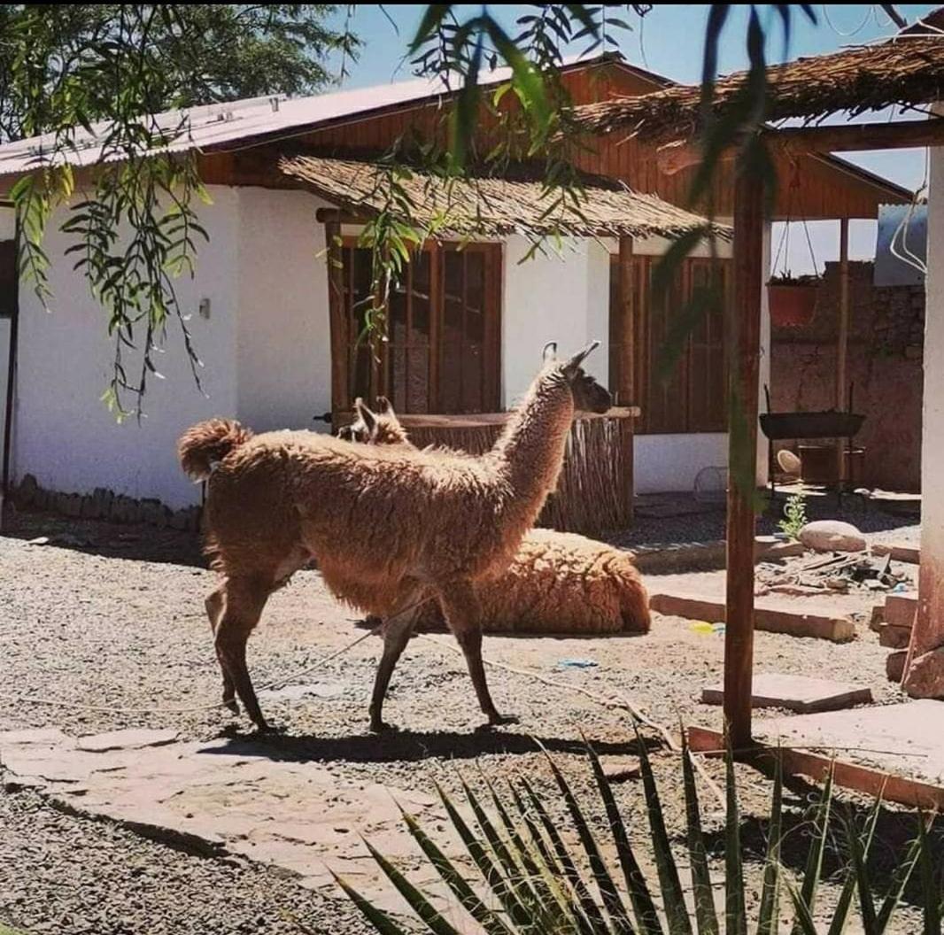 Cabanas Voyage Atacama Сан-Педро-де-Атакама Экстерьер фото