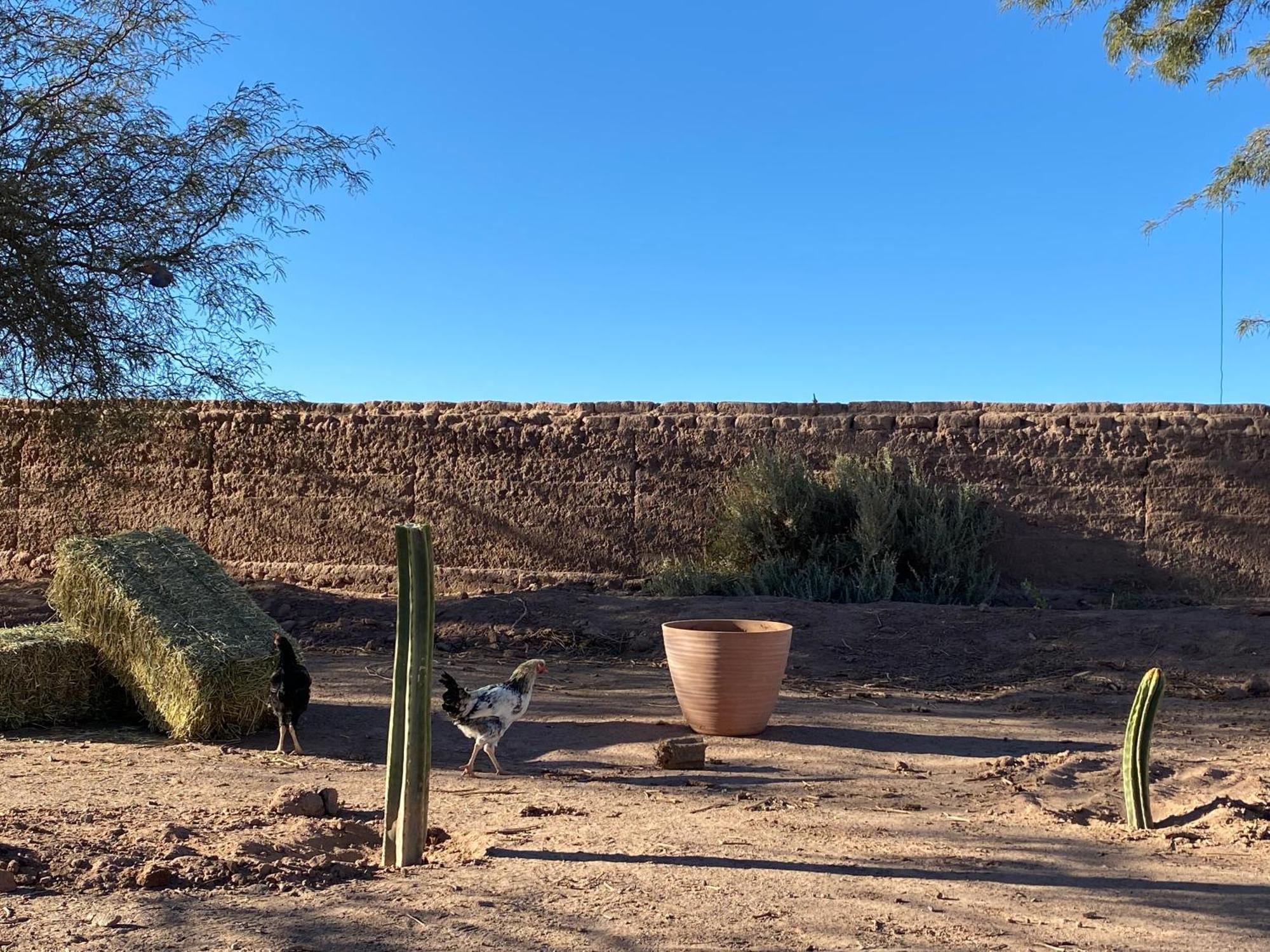 Cabanas Voyage Atacama Сан-Педро-де-Атакама Экстерьер фото